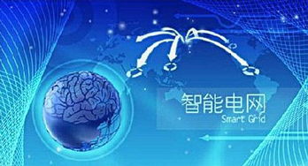 通信技術(shù) 智能電網(wǎng)的神經(jīng)中樞與信息技術(shù)從業(yè)者的新機遇